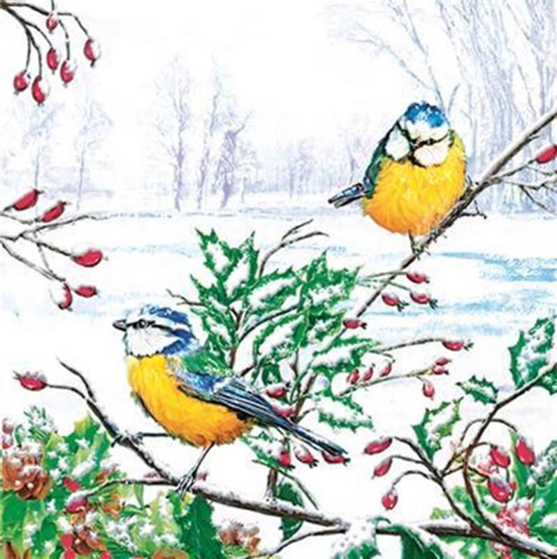 PAPER NAPKINS TWO WINTER BIRDS