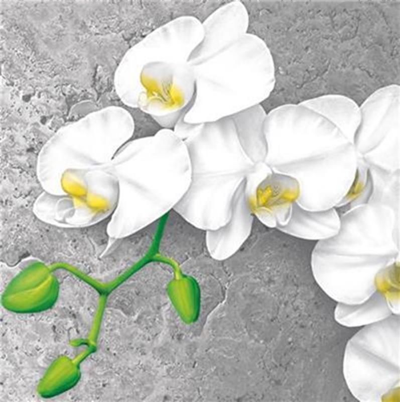 PAPER NAPKINS WHITE ORCHID