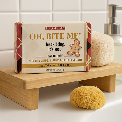 SOAP BAR-GINGERBREAD 8.6OZ