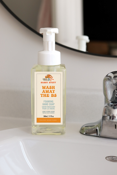 Sassy Stuff Foaming Hand Soap- Wash Away BS 17oz